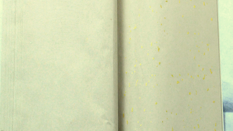 Image Alternative text