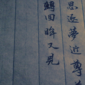 Image Alternative text